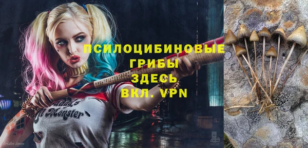 герыч Бронницы