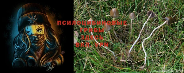 jwh Бородино