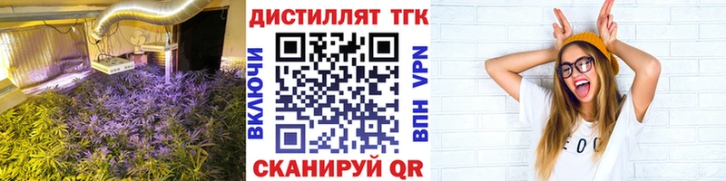 ТГК Wax  Каменка 